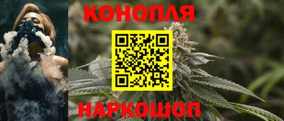 не бодяженный Гай