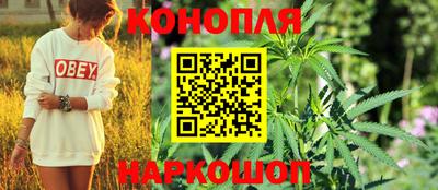 прущие крисы Гатчина