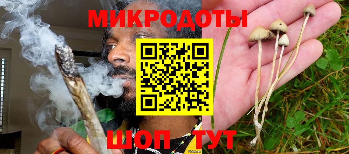 Галлюциногенные грибы GOLDEN TEACHER Мегион