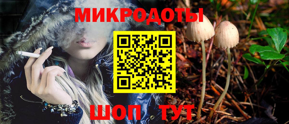 Псилоцибиновые грибы Psilocybine cubensis  Мегион 