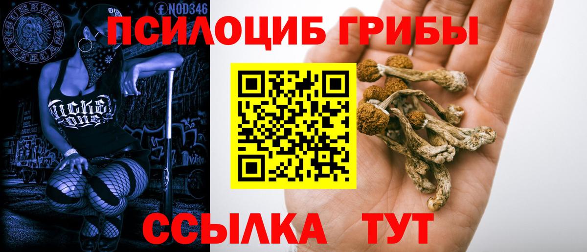 Псилоцибиновые грибы Psilocybine cubensis Мегион